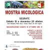 immagine relativa all'appuntamento